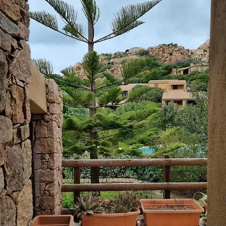 Casa Araucaria
