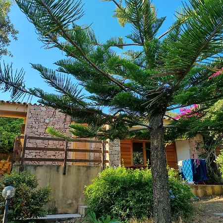 Holiday home Casa Araucaria